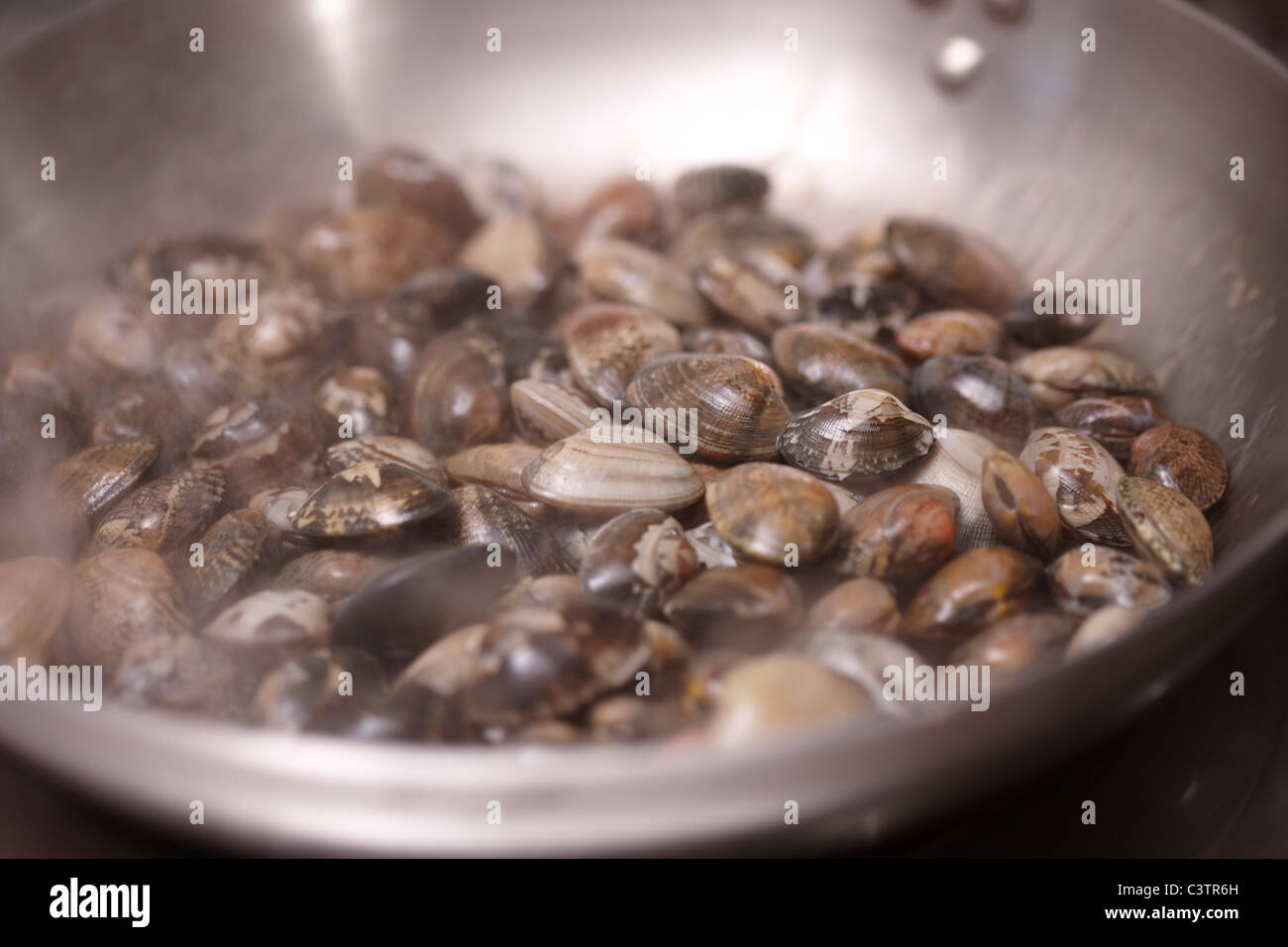 Gebratene Venusmuscheln, Stockfoto