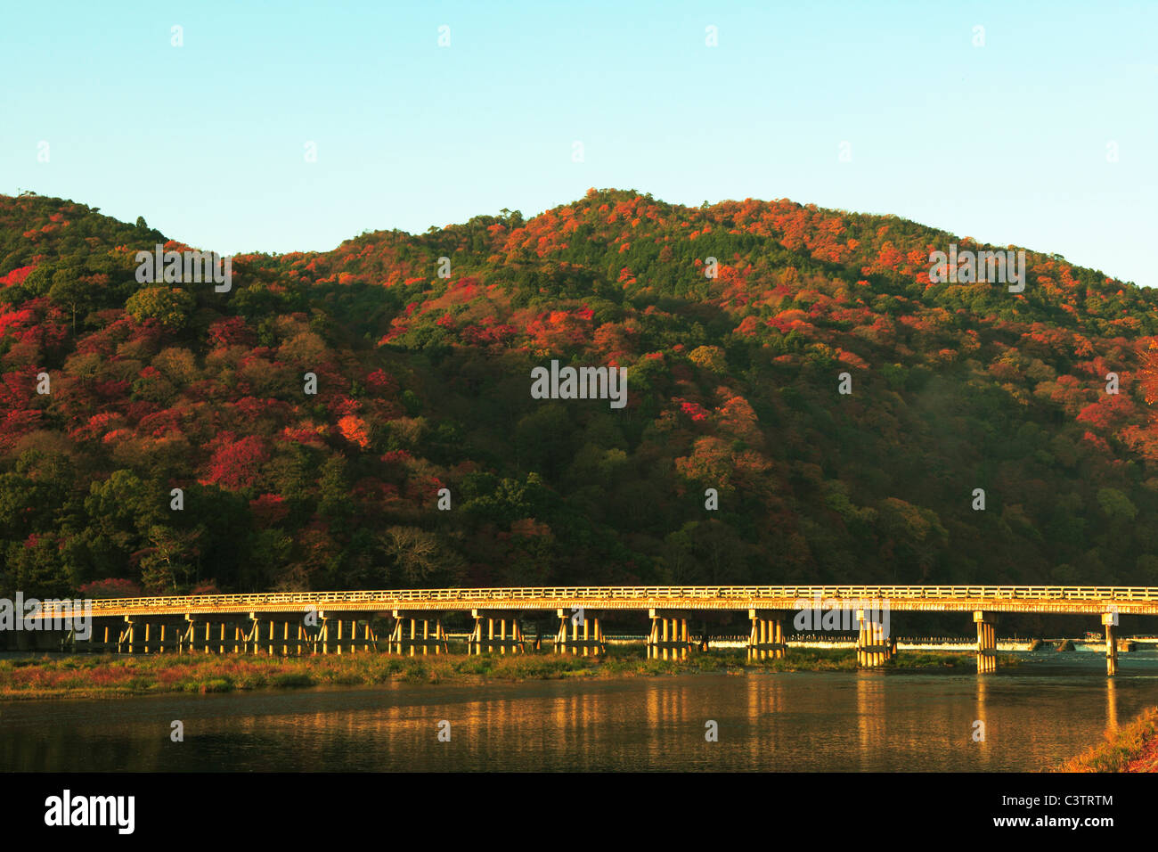 Togetsukyo Brücke im Herbst Stockfoto