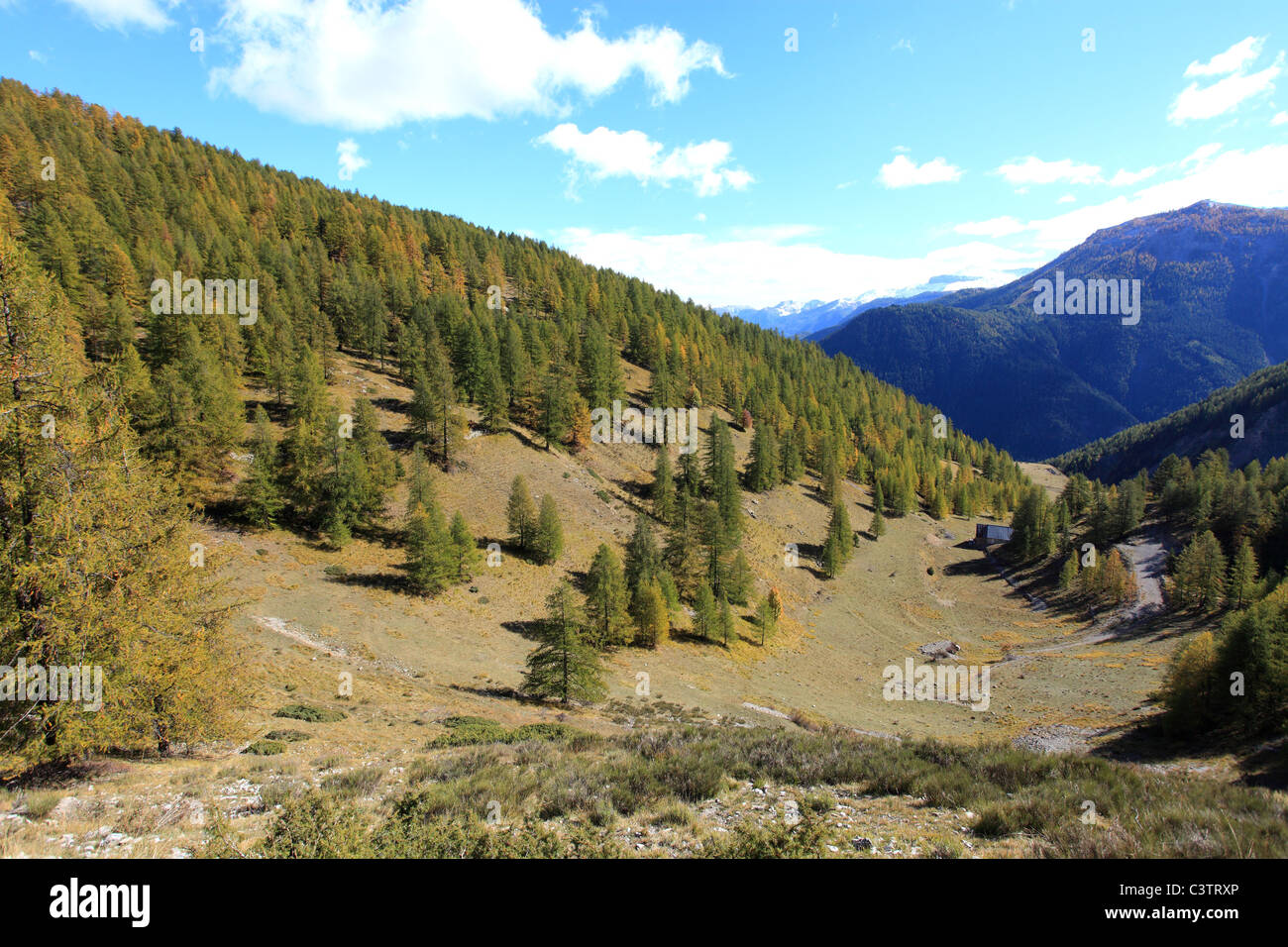 Landschaft des Tinée-Tals im Hinterland des Departements Alpes-Maritimes Stockfoto