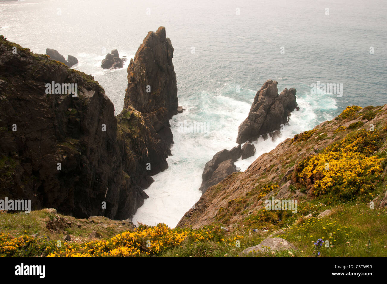 Cabo Ortegal Spanien Felsen Klippen Küste Carino Stockfoto