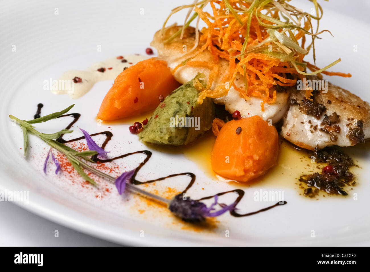 Nouvelle Cuisine Gourmet Fischplatte Stockfoto