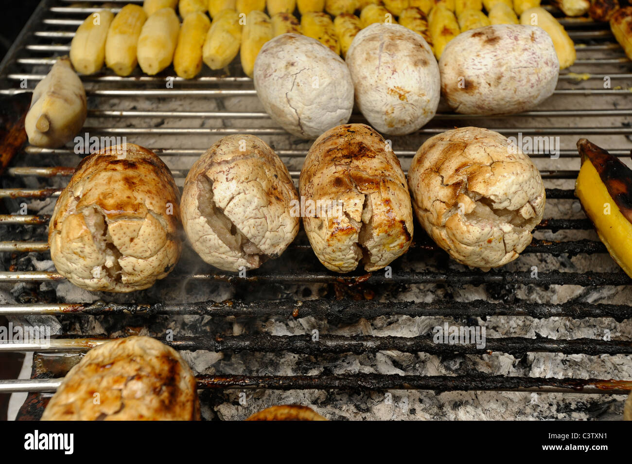BBQ Casava, Straße Snack, Essen und Reisen, Bangkok, thailand Stockfoto