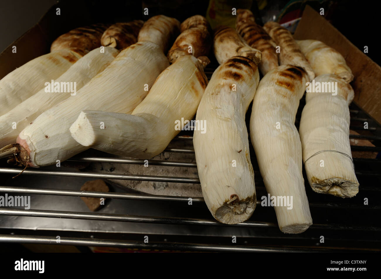 BBQ Casava, Straße Snack, Essen und Reisen, Bangkok, thailand Stockfoto