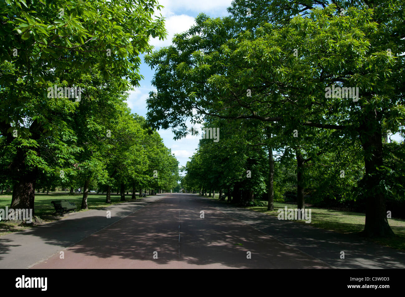 Royal Greenwich Park London England UK Stockfoto