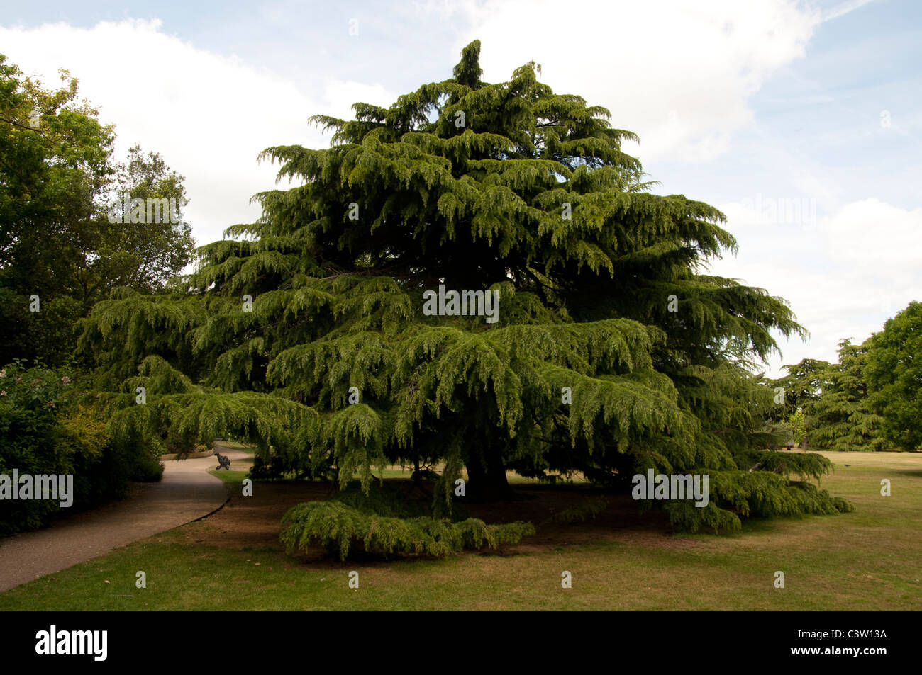 Royal Greenwich Park London England UK Stockfoto