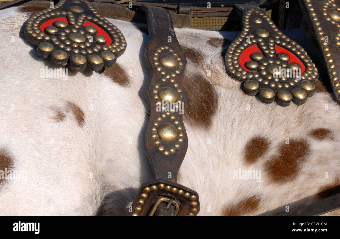 Detail der Rinder Sattelleder und vergoldetem Metall Wandleuchten. Vieh Haut Textur Hintergrund Stockfoto