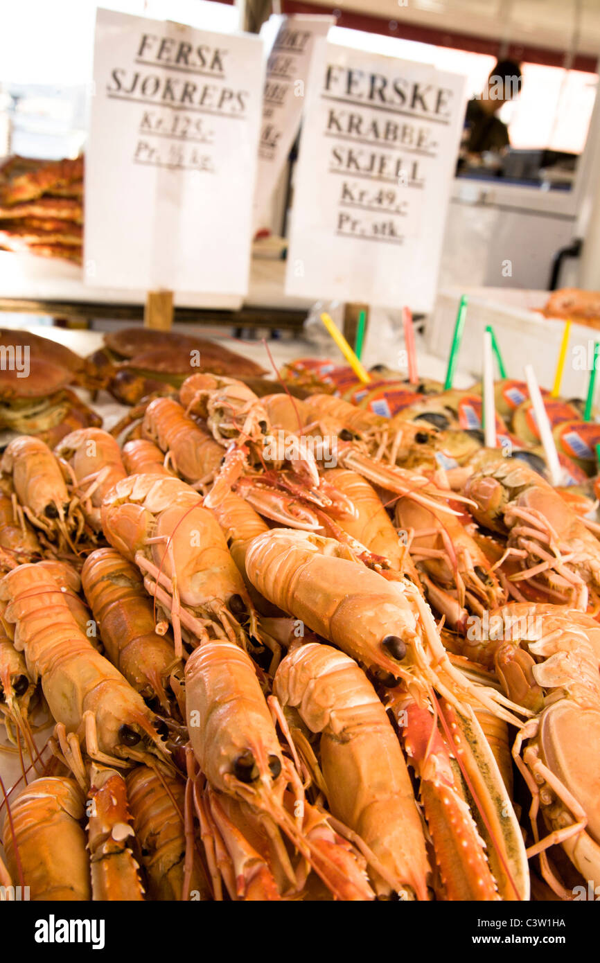 Kaisergranat (norwegische Hummer) zum Verkauf an Bergen Fisch Markt, Norwegen Stockfoto
