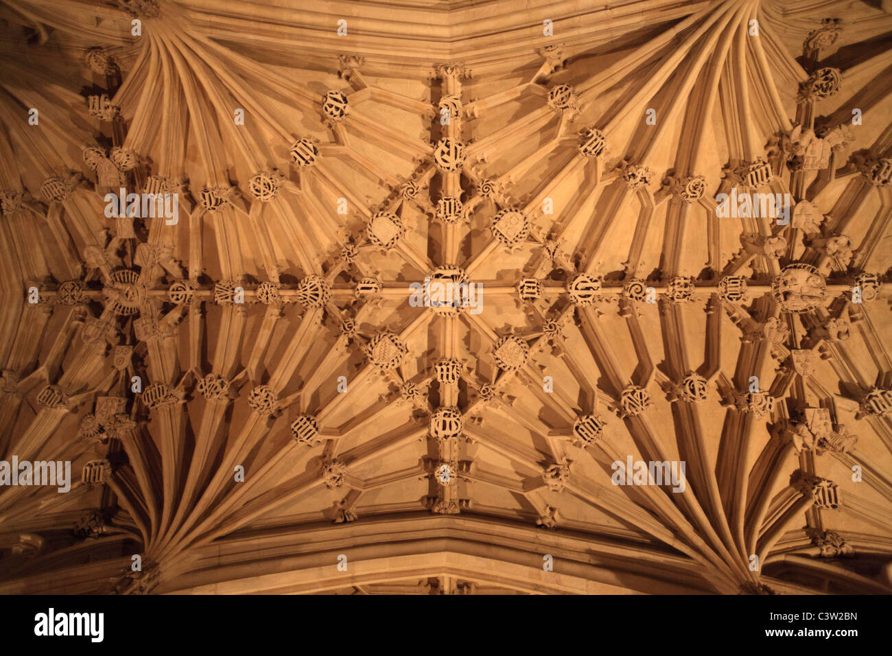 Die Decke des Divinity School in der Bodleian Library, Oxford University, England Stockfoto