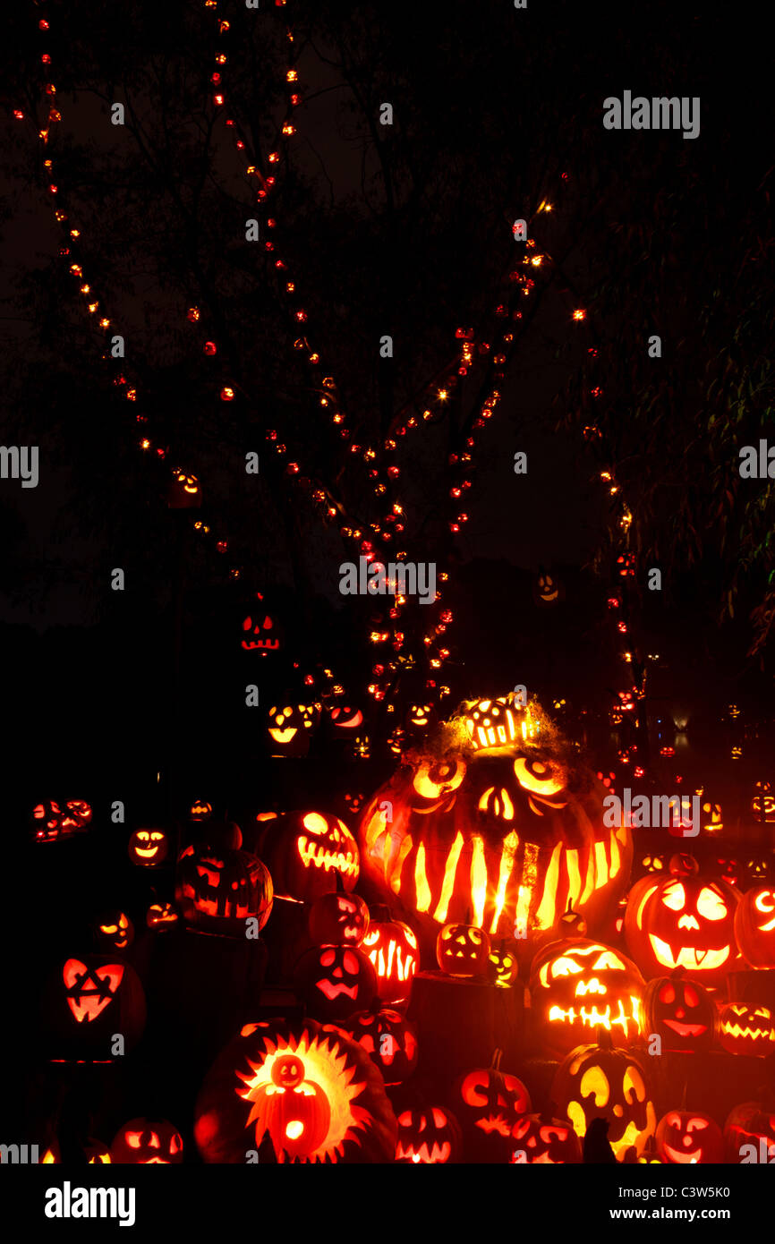 Schön geschnitzten Jack-Lantern an die Jack-weißen spektakuläre im Roger Williams Park-Zoo in Providence, Rhode Island. Stockfoto
