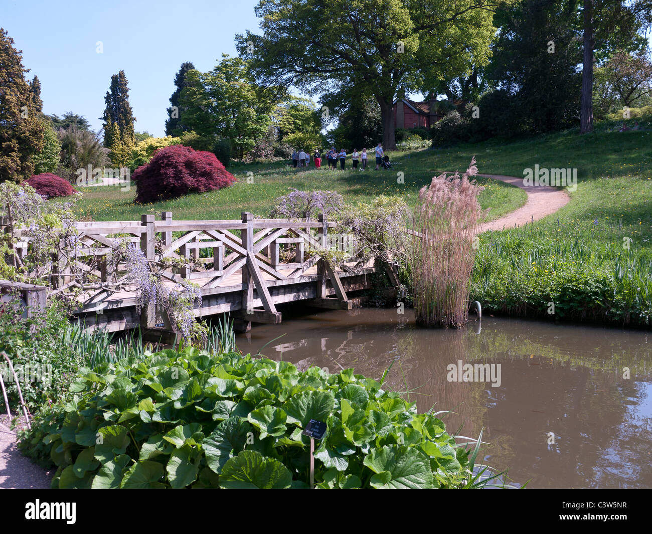Brücke über den Bach in den Royal Horticultural Society Gärten, Wisley, UK Stockfoto