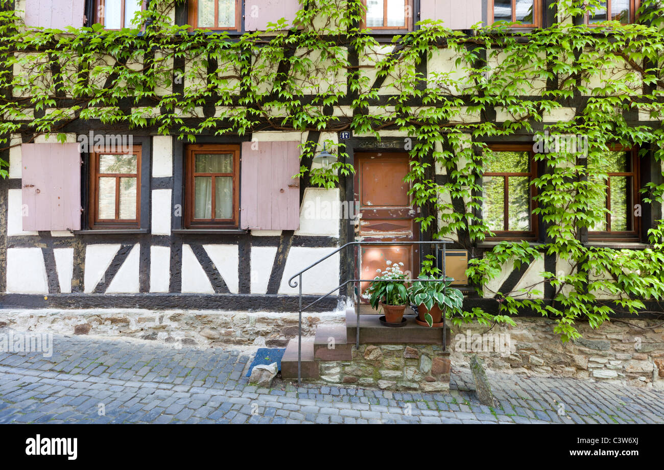 Ein historisches Fachwerk-Haus (halbe Fachwerkhaus) bedeckt Reben in der schönen Stadt Kronberg, in der Nähe von Frankfurt. Stockfoto