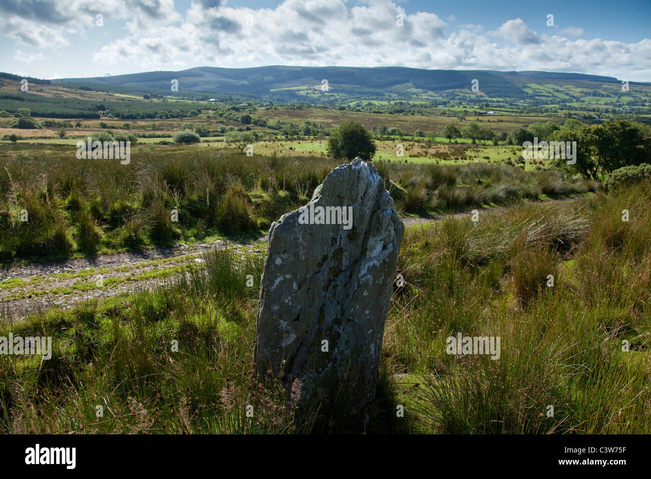 Standing Stone in der Nähe von Eskradooey, Räuber-Tabelle, Grafschaft Tyrone, Nordirland. Stockfoto