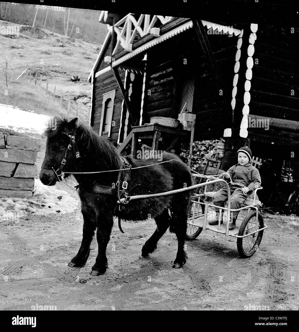 der 1950er Jahre in dieses historische Bild wir sehen einen kleiner Junge sitzt im Pferd & Warenkorb vor einem traditionellen Holzhaus, Voss, Norwegen. Stockfoto