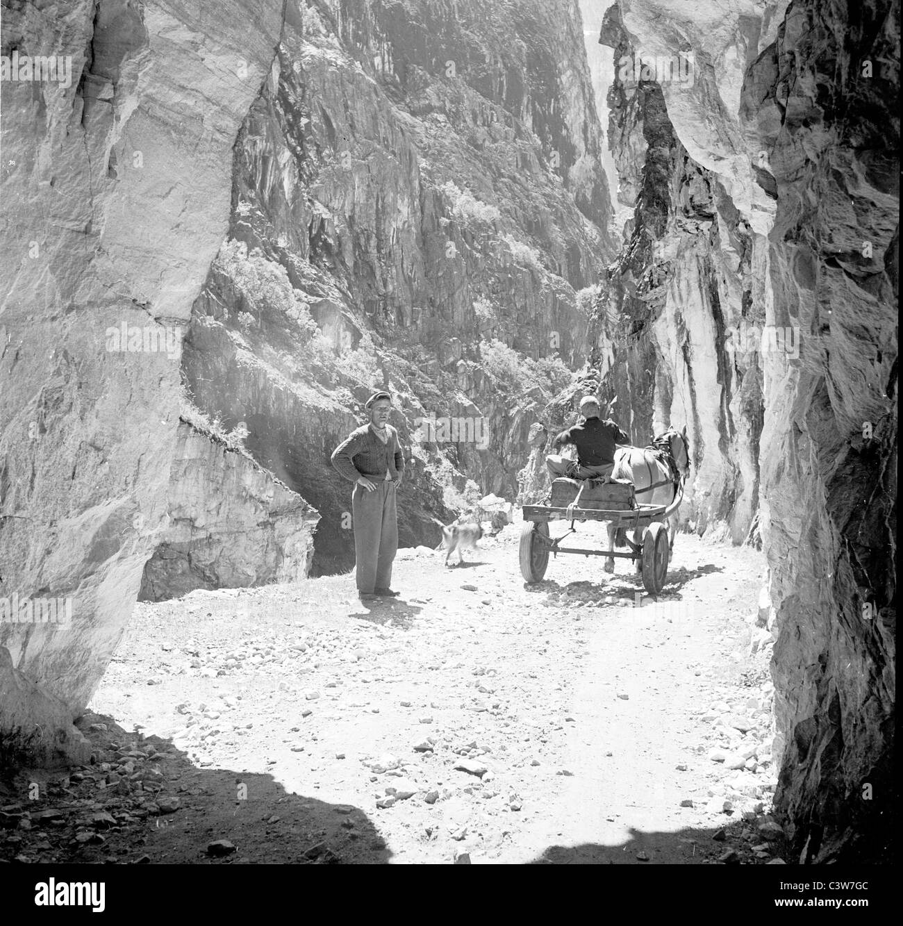 der 1950er Jahre in diesem historischen Foto sehen wir einen jungen Reiten ein Pferd und Wagen über einen Pass mit Jordalsgorge, Norwegen. Stockfoto