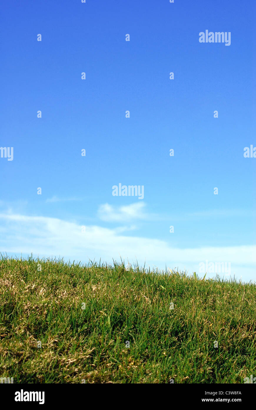 Grasgrün, blauen Himmel und weiße Wolken. Vertikales Bild. Stockfoto