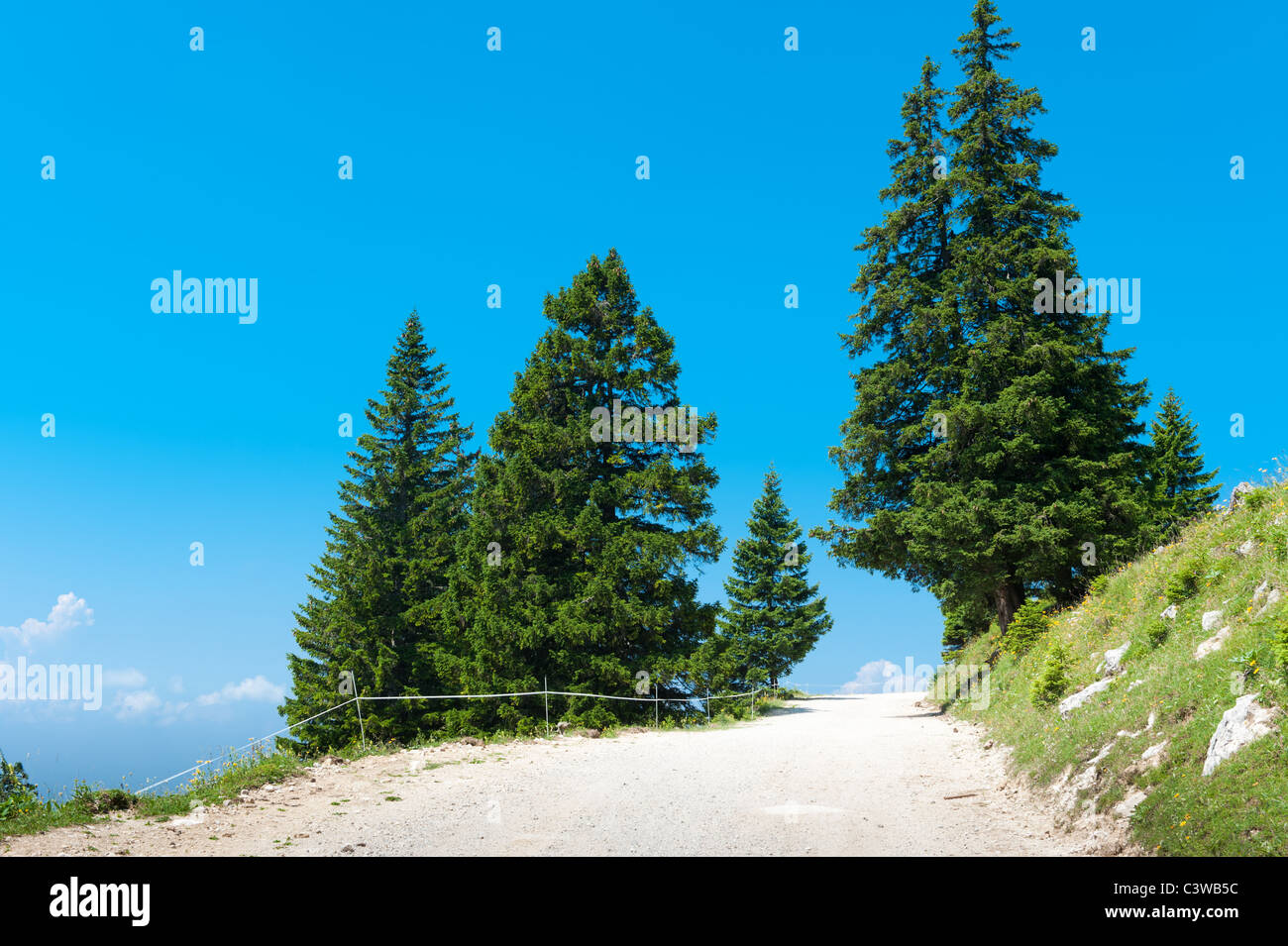 Breiten Bergweg mit Fichten am grünen Hang unter blauem Himmel. Stockfoto