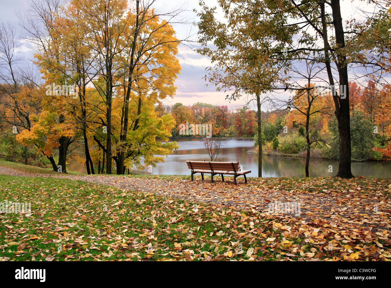 Ein Wanderweg und Parkbank mit Blick auf einen See an einem regnerischen Tag im Herbst, Sharon Woods, südwestlichen Ohio, USA Stockfoto