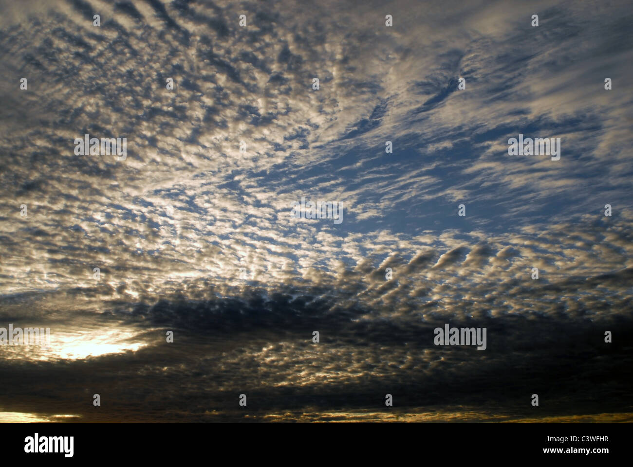 Sonne dringt Licht durch dramatische Cirruswolken. Sunrise Himmelshintergrund. Stockfoto