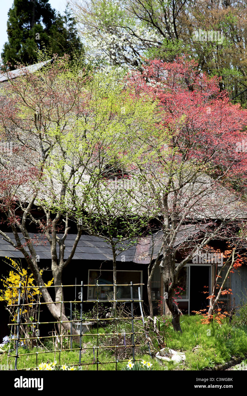 Ein traditionelles Bauernhaus Akita Japan Stockfoto