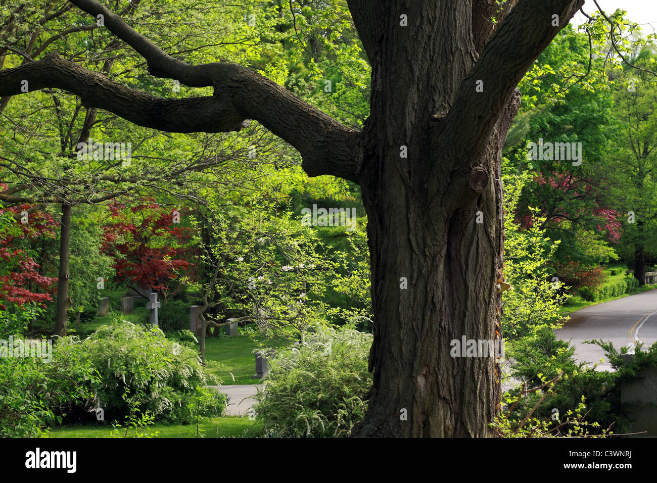 Mount Pleasant Cemetery ist ein Rastplatz für viele berühmte Kanadier seit 1876 Stockfoto