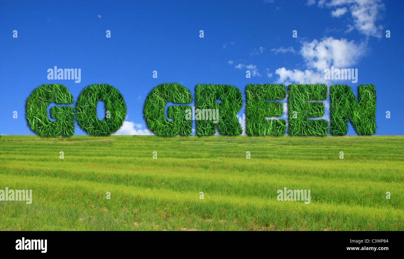 Strukturierte gehen grünes Schild über frische Gräser und Lue Himmelshintergrund. Stockfoto
