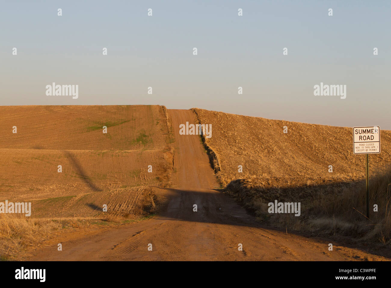 Goldene rollenden Palouse Felder und Sommer unbefestigte Straße, Ost-Washington, USA Stockfoto