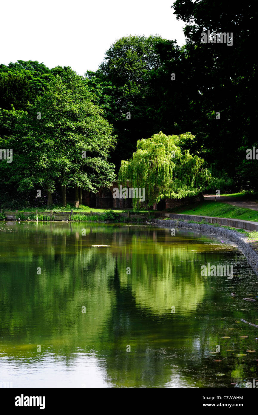 See Reflexion Wollaton Park Nottingham England uk Stockfoto