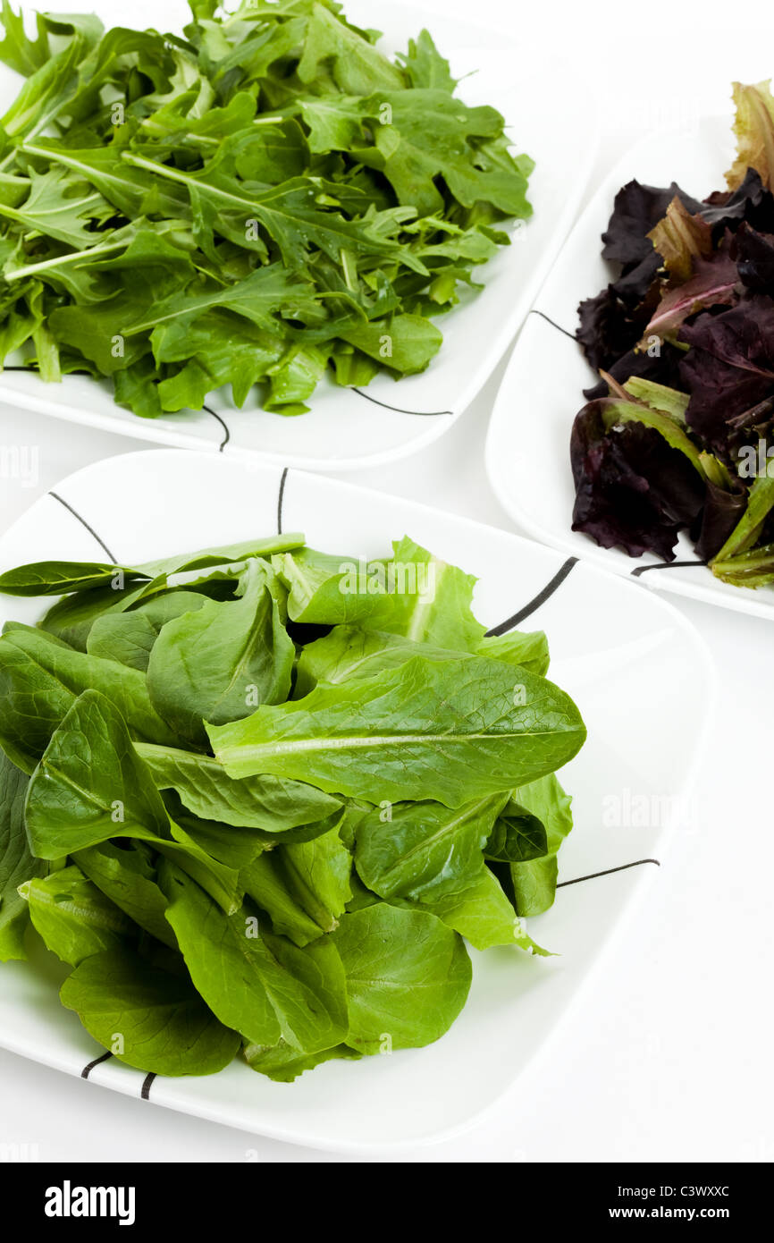 Spinat, rote Blatt Salat, Mizuna für Hintergrund Stockfoto