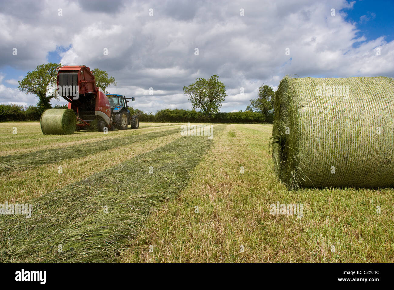 20.5.2011 Baling große Runde Silageballen bereit für die Verpackung. Stockfoto