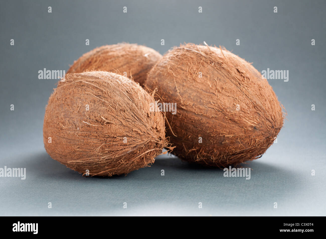 Drei frische Coco Nuts, Studioaufnahme Stockfoto