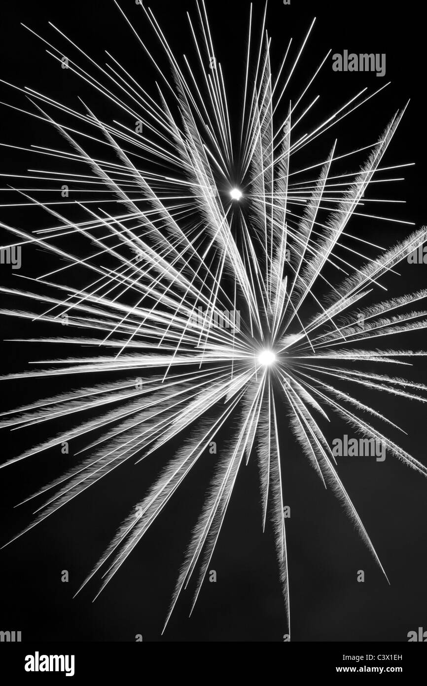 Bestandteil der Schweine, Torten und Feuerwerk Festival Feuerwerk von Central Maine Pyrotechnik in Gardiner, Maine im Jahr 2010. Stockfoto