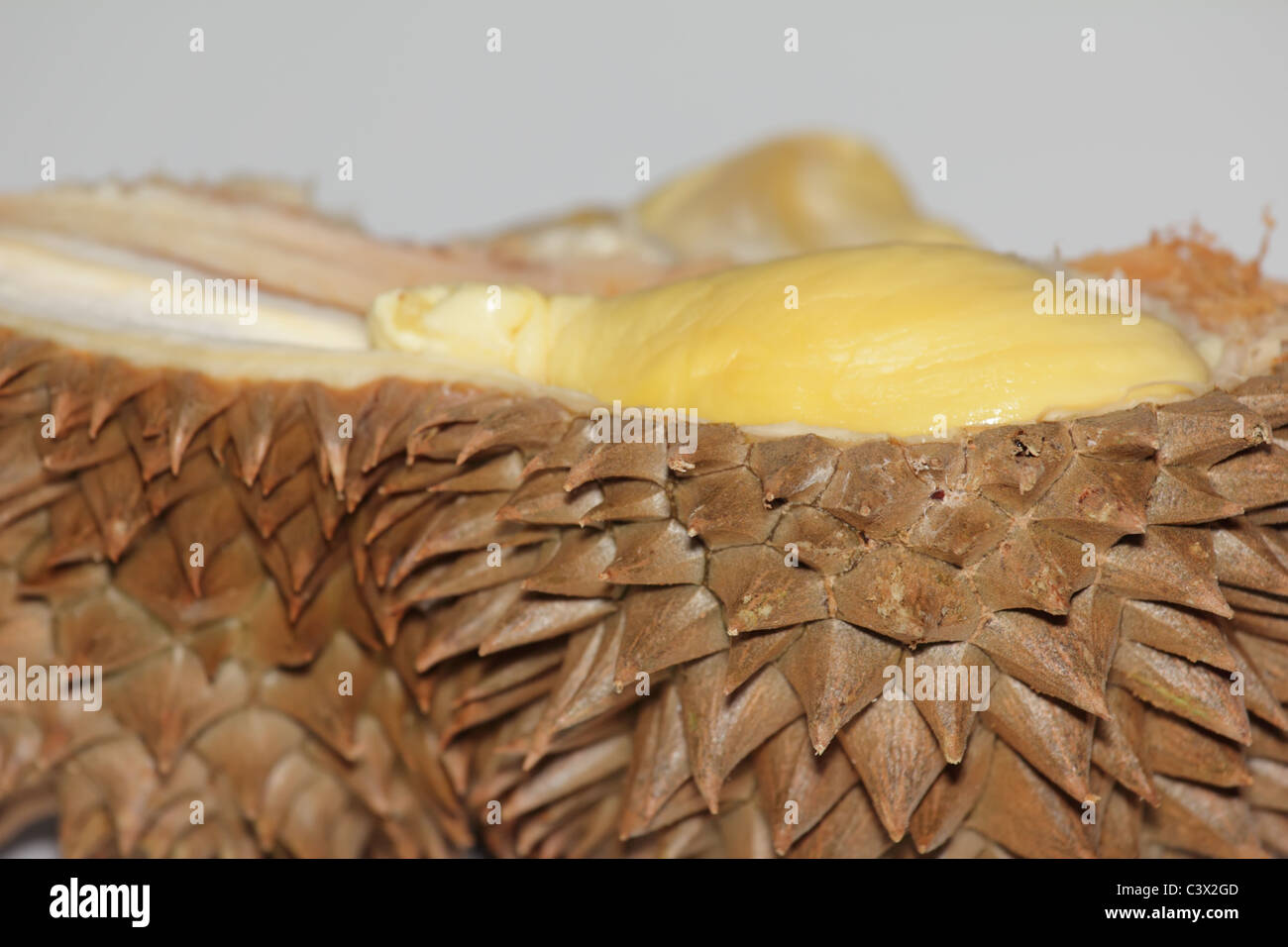 Halbe Durian schneiden geöffnet ist, zeigt seine stacheligen Natur, deren Fleisch enthalten auch viel Wärme Stockfoto