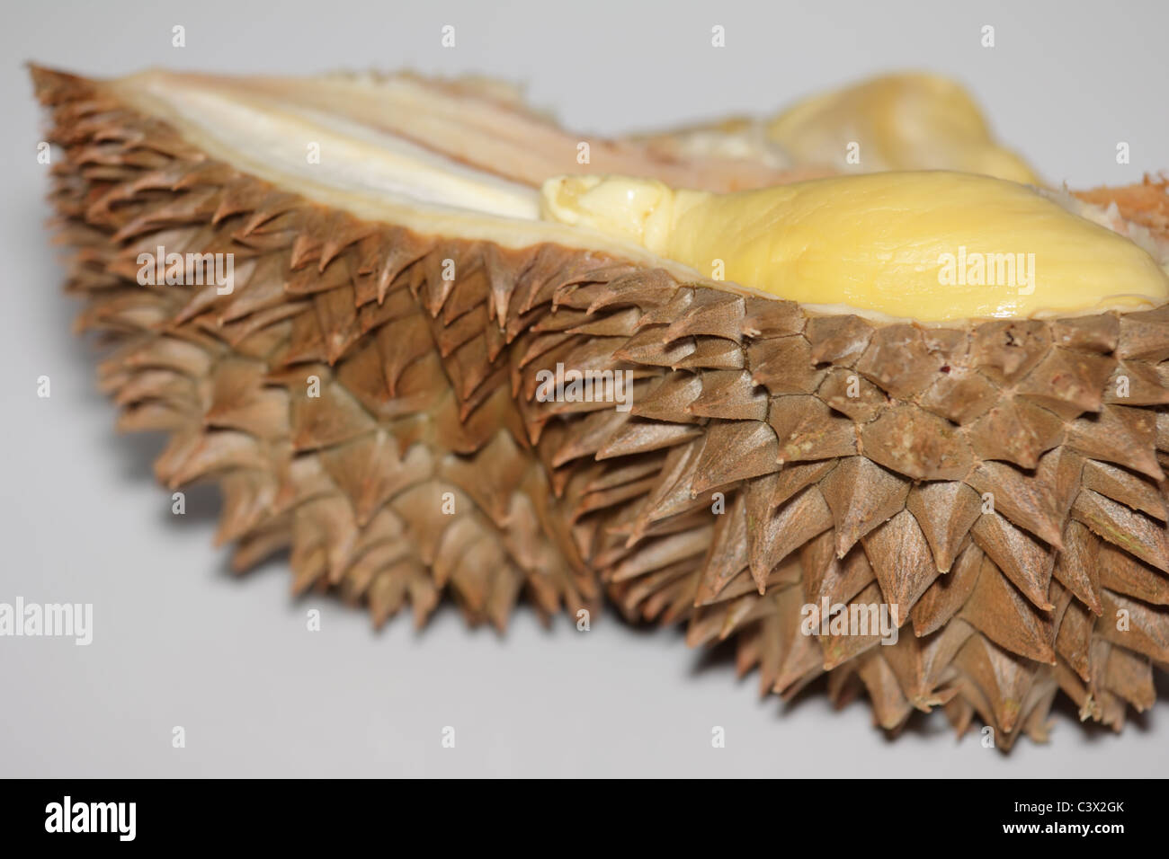 Halbe Durian zeigt seine stachelige Schale oder Hülle Stockfoto
