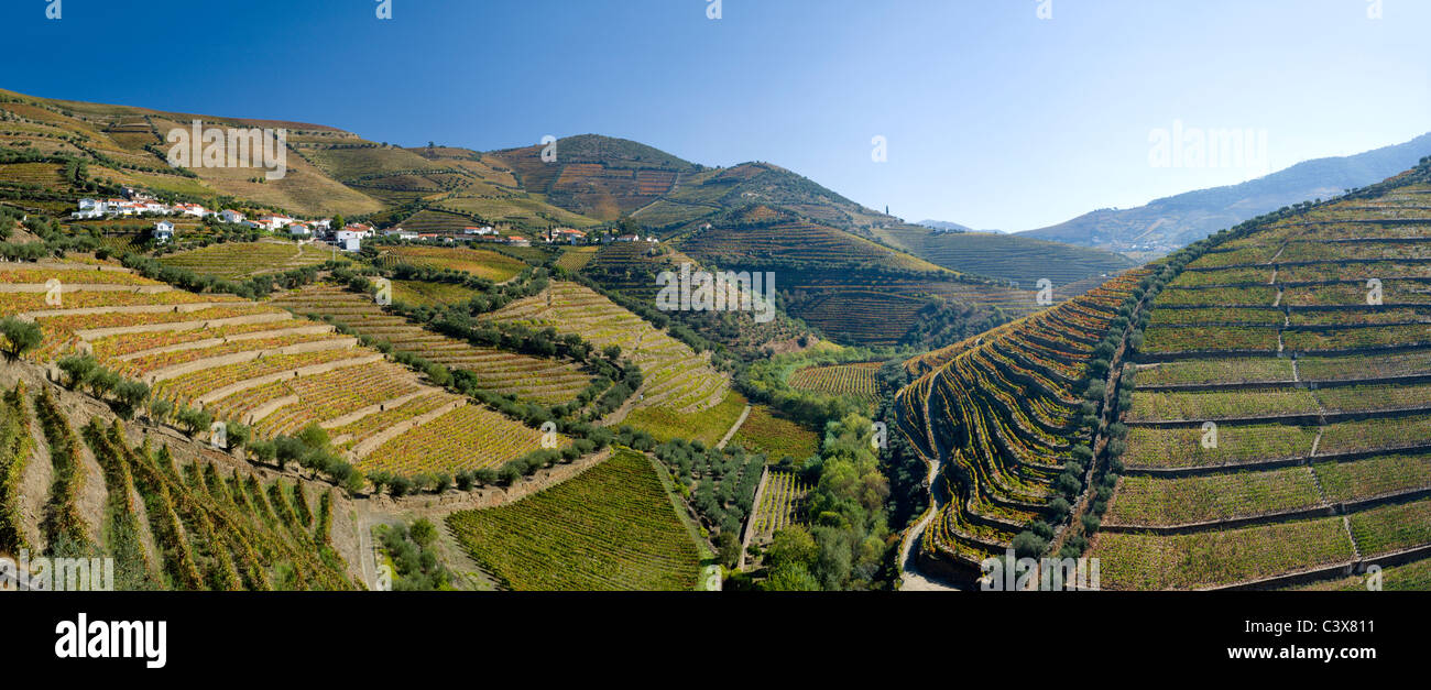 Portugal, Casais Douro-Dorf in der Nähe von Pinhao. Weinberge in der Douro-Tal, der Portwein-Bezirk Stockfoto