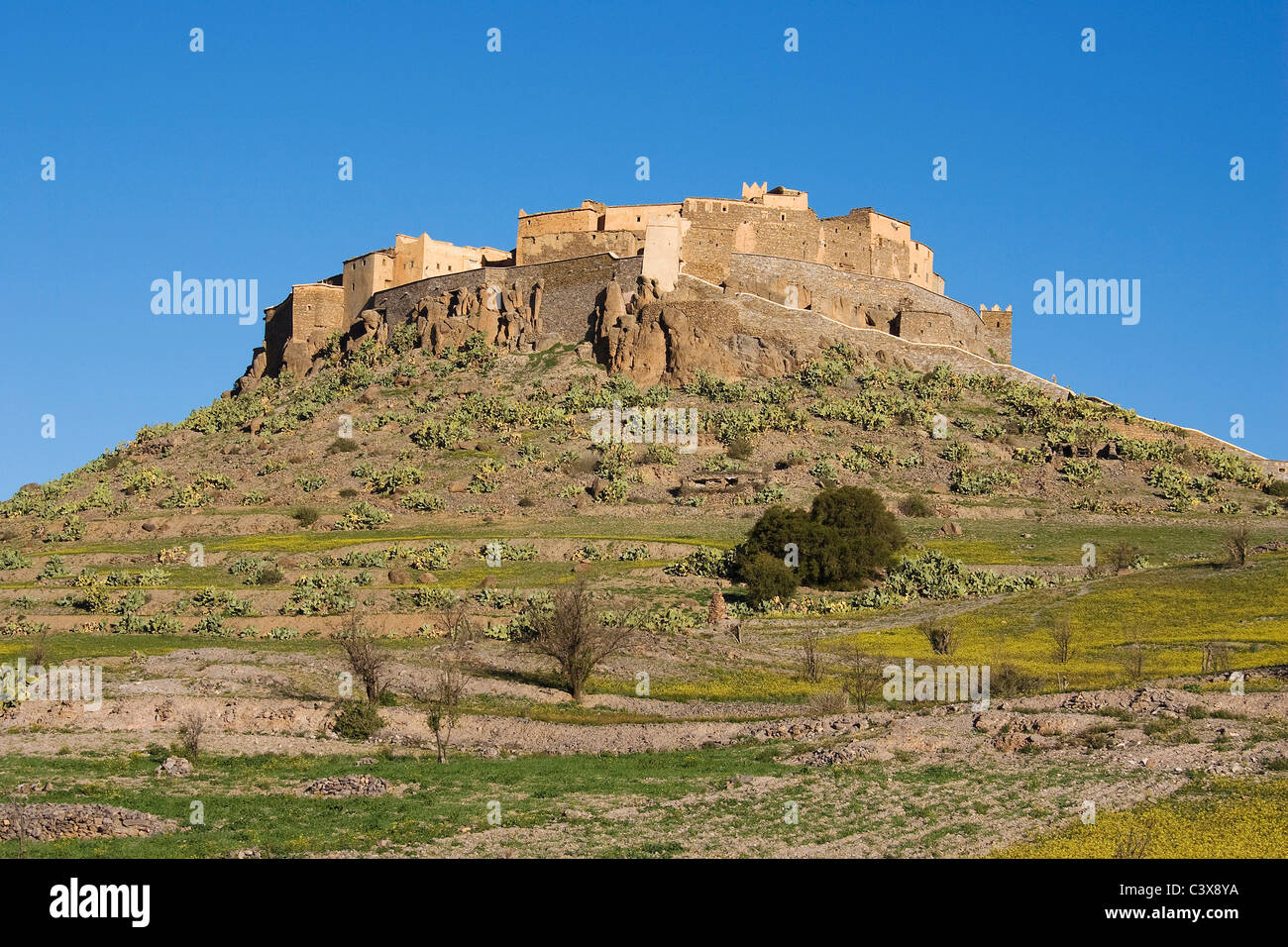 Die spektakulär gelegenen Agadir (befestigte Getreidespeicher) des Tizourgane in den Antiatlas, Marokko- Stockfoto