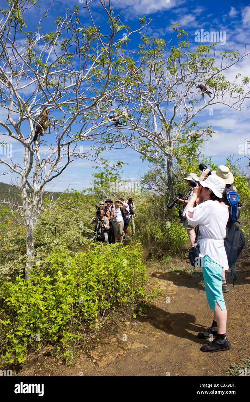 Touristen fotografieren von Wildtieren, Isabela Insel Bahia Urbina, Galapagos-Inseln, Ecuador Stockfoto