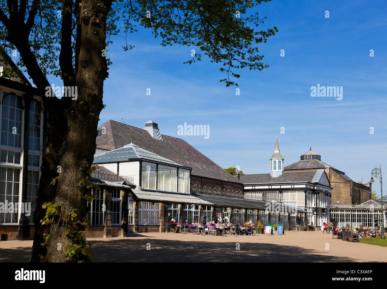 Wintergarten im Pavillion Garten Park Buxton Spa Derbyshire Peak District England UK GB EU Europa Stockfoto
