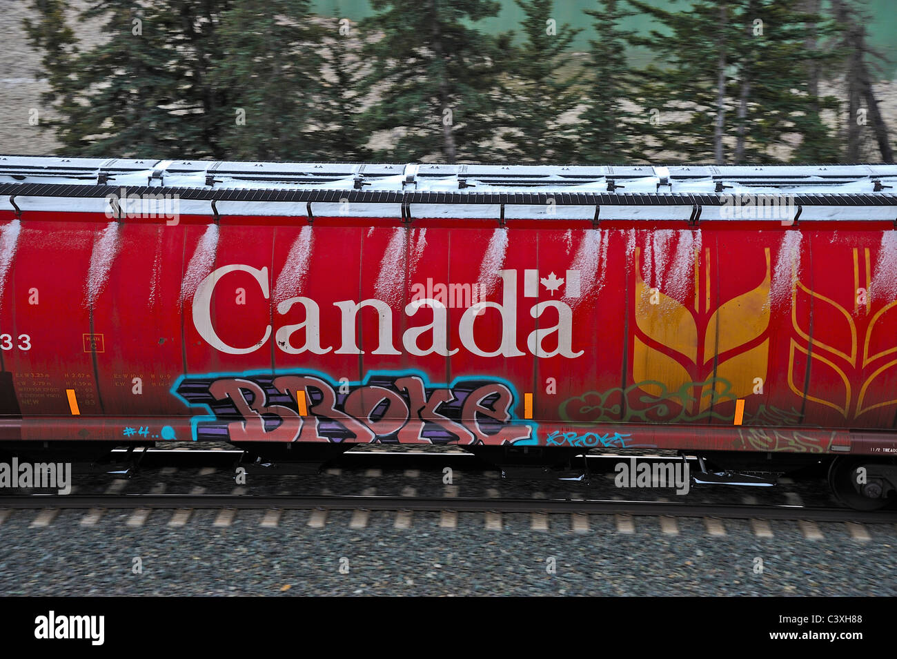 Canadian National Kesselwagen mit Graffiti-Kunst gemalt. Stockfoto