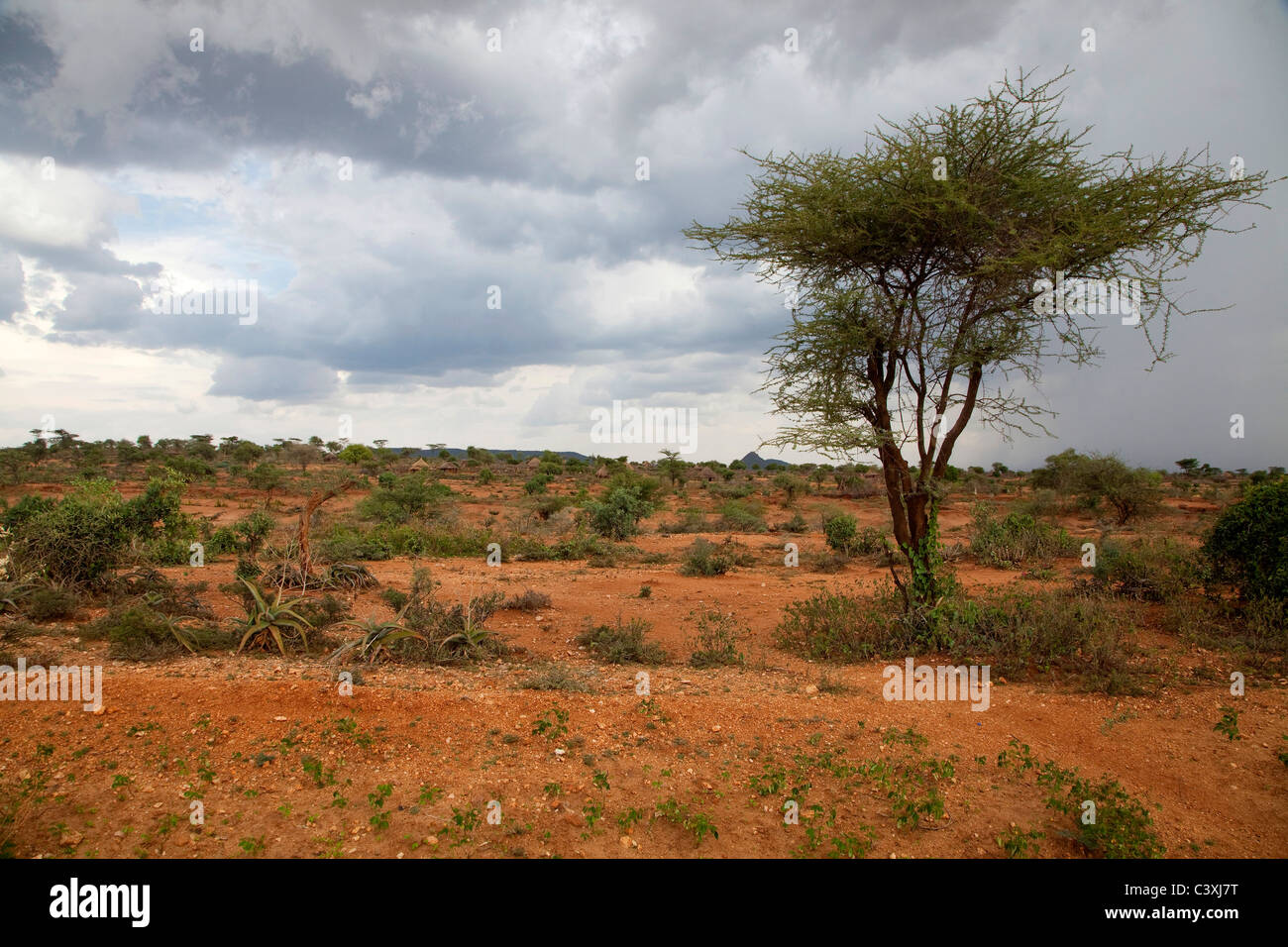 Afrikanische Landschaft und Natur in der Nähe von Turmi, Äthiopien, Afrika Stockfoto