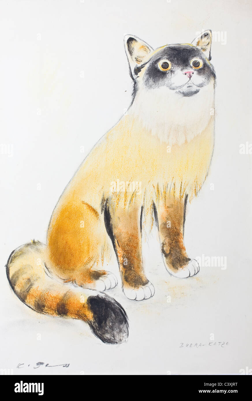 Birmanische Katze - Pastellkreide auf Papier von Kurt Tessmann Stockfoto