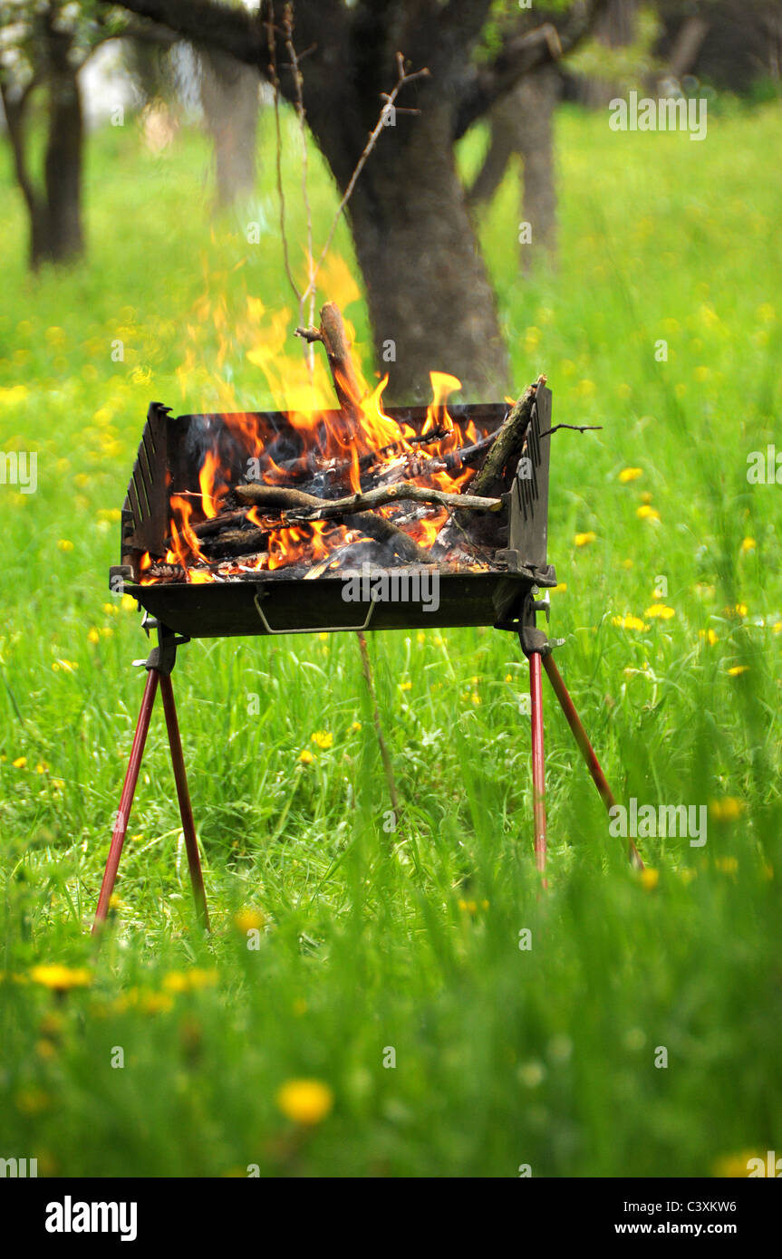 Grill-Box mit Feuer und brennende Wälder Stockfoto