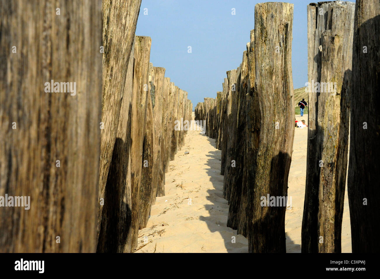 Sangatte Bleriot, Pas De Calais, Nord-Pas-de-Calais, Frankreich, Strand und Meer im Fort Mahon dune Stockfoto