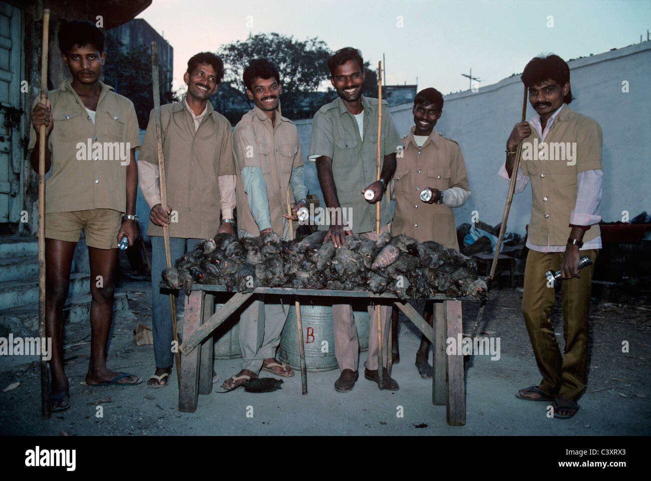 Nacht-Ratte-Mörder von Mumbai zeigen ihre Arbeiten. Mumbai, Indien Stockfoto
