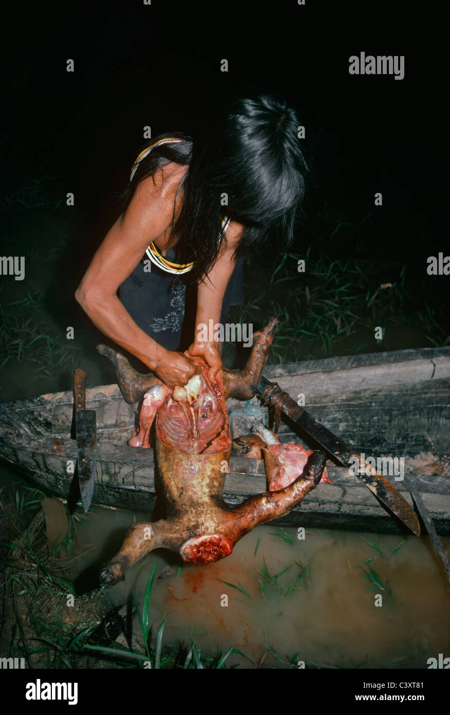 Ein Matses indische Frau reinigt und Metzger ein Baum zwei-toed Sloth gefangen während einer Jagd. Amazonas-Becken, Peru. Stockfoto