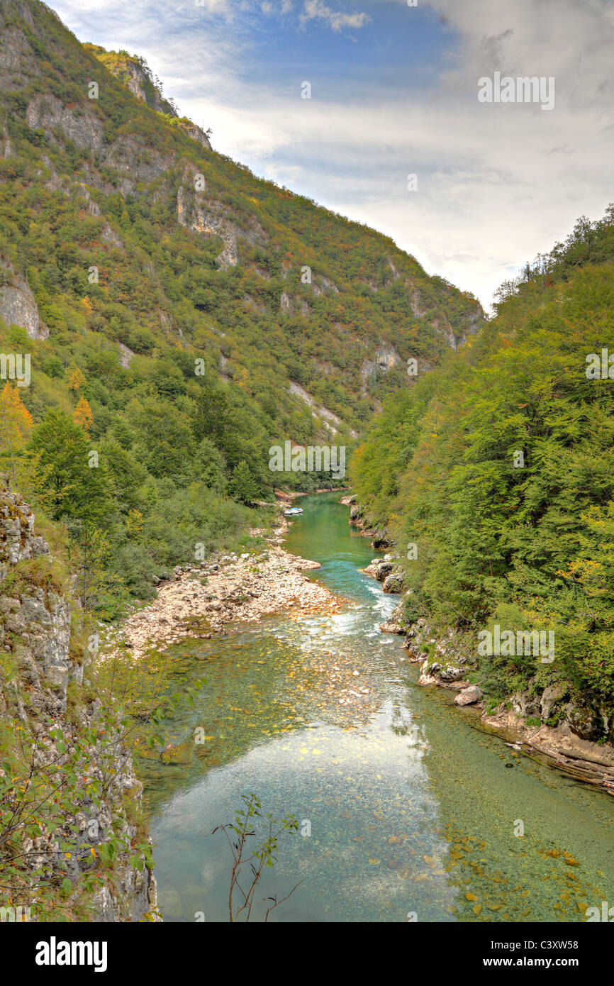 Fluss Tara mit seiner schönen grünen Wasser laufen, Trog Grüne Tara
