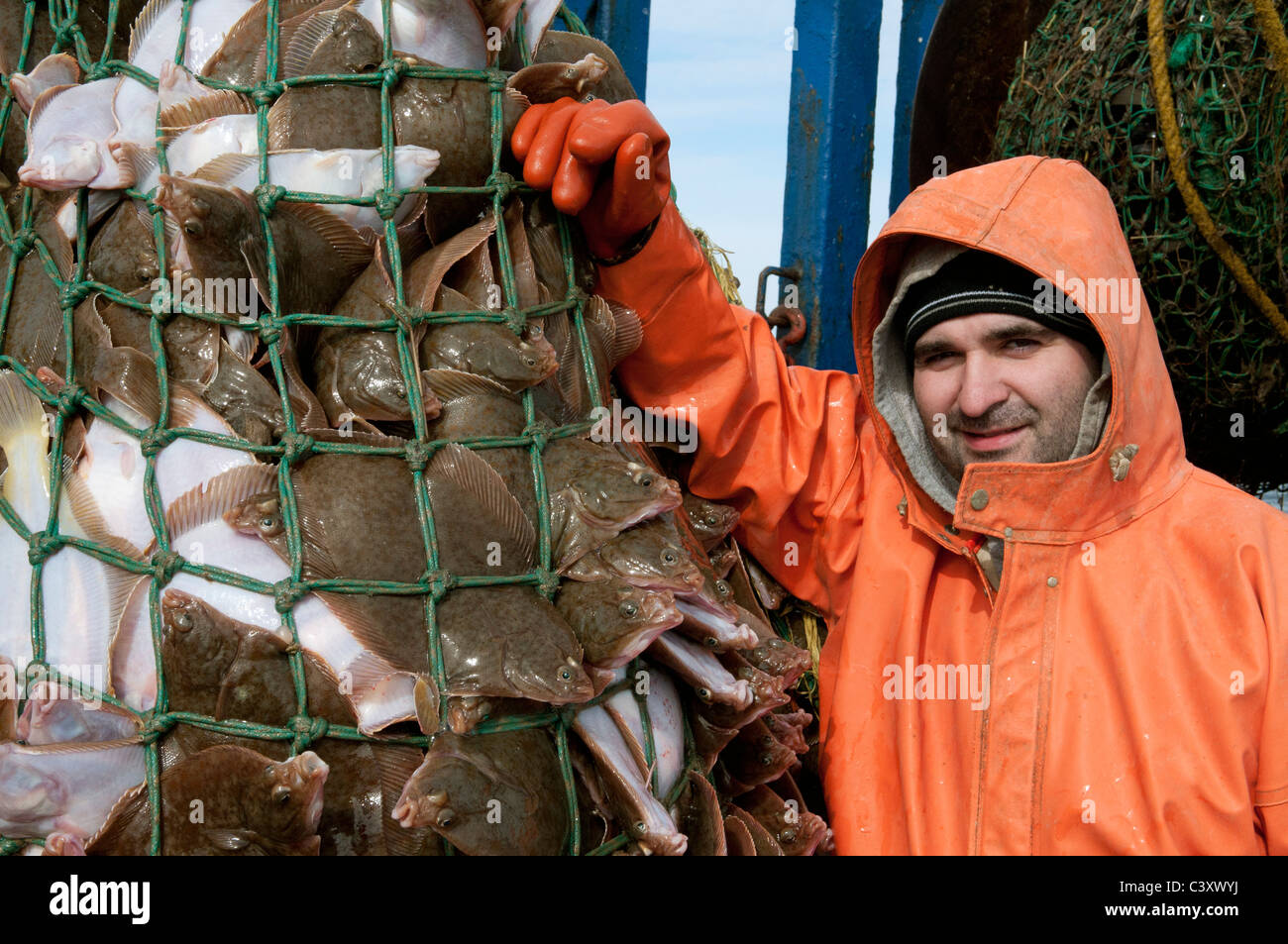 New England Fischer mit einem Dragger net überfüllt mit Yellowtail Flunder (Limanda Ferruginea). Stellwagon Bank, New England Stockfoto