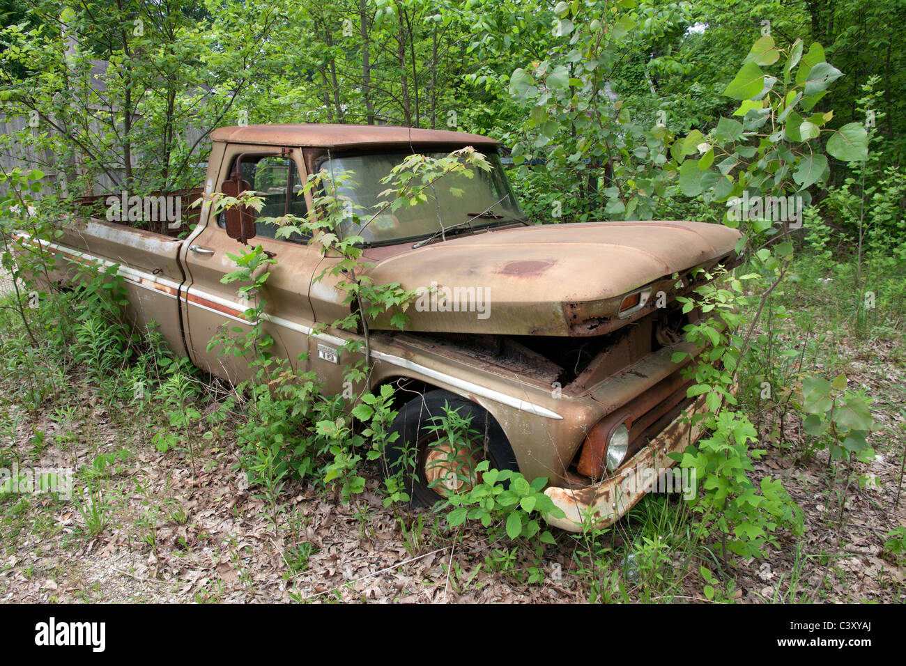 Verlassene und verrosteten LKW USA Stockfoto