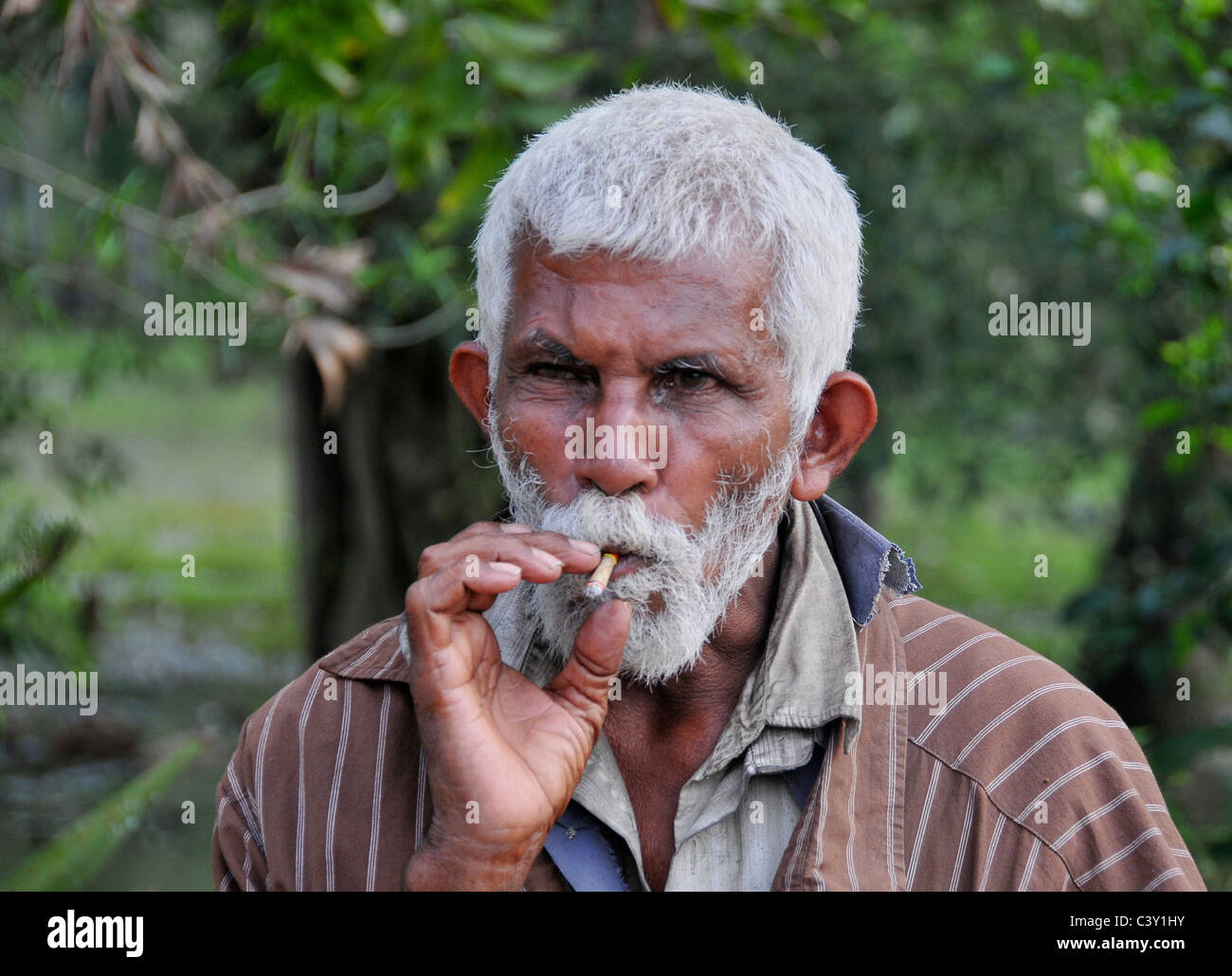 Porträt von weißen Haaren Mann Rauchen ein Biddy Anuradhapura Sri Lanka Stockfoto
