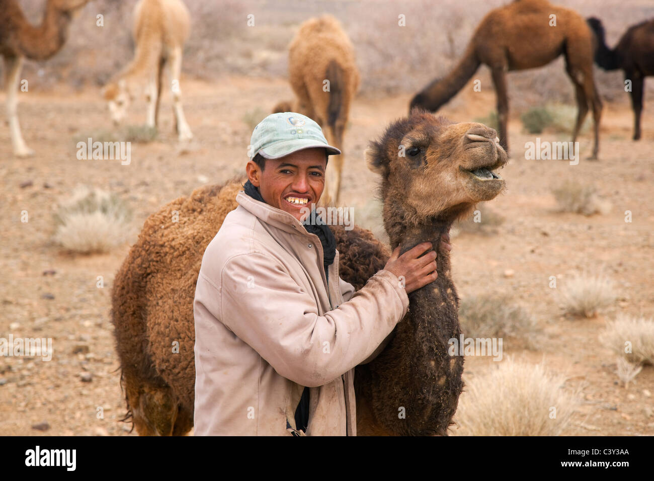 Porträt Beduin Nomad & Kamel Marokko Stockfoto