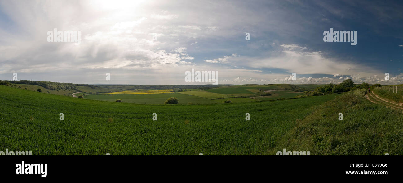 Panorama mit Blick auf lange Furlong auf den South Downs, West Sussex, UK Stockfoto